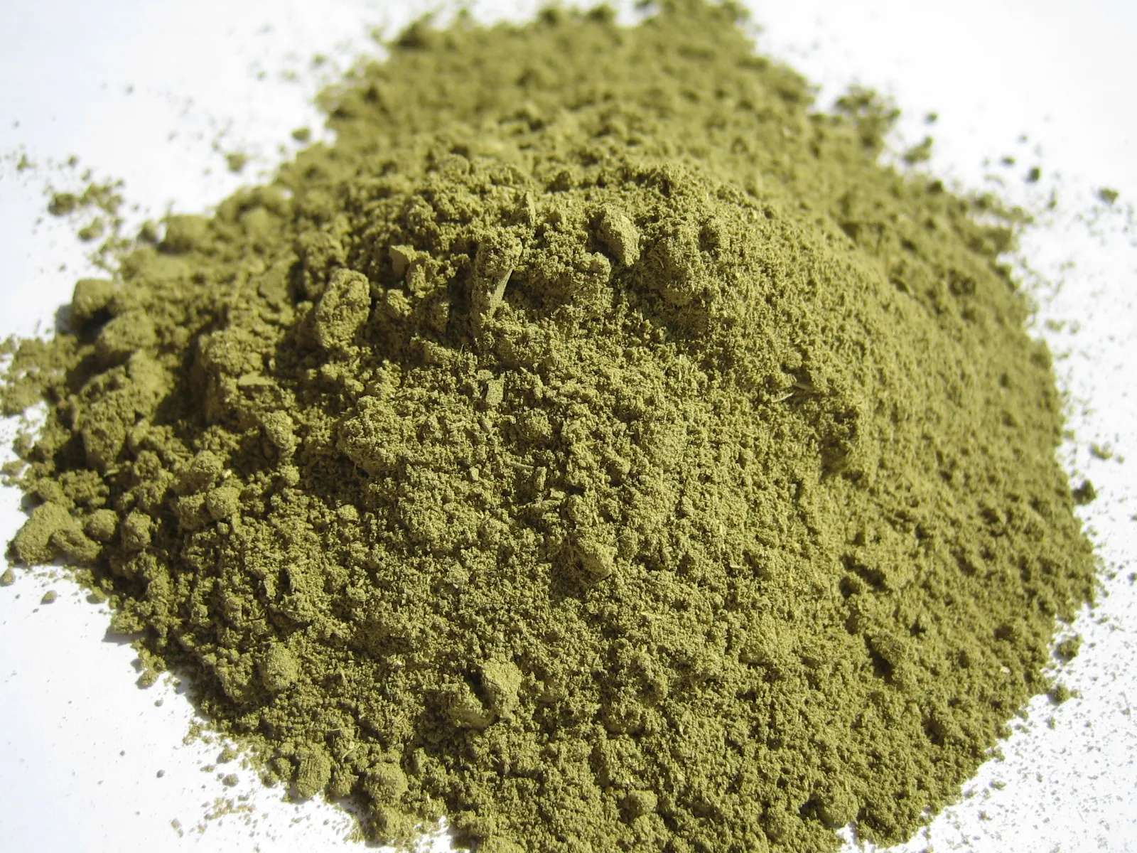 Pilot Natural Henna Powder 1 KG
